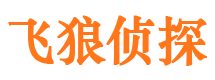 桦甸市调查公司